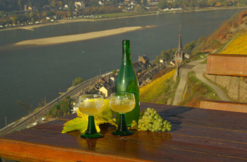 Weinbau am Rhein